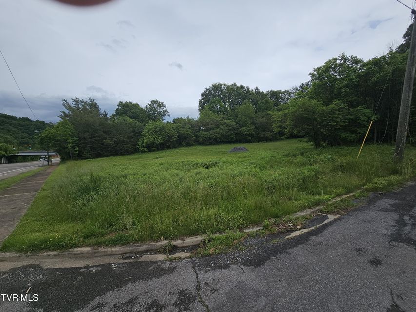 Photo #2: 1800 Lynn Garden Drive