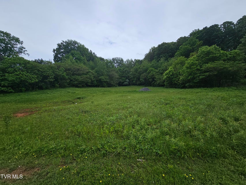 Photo #3: 1800 Lynn Garden Drive