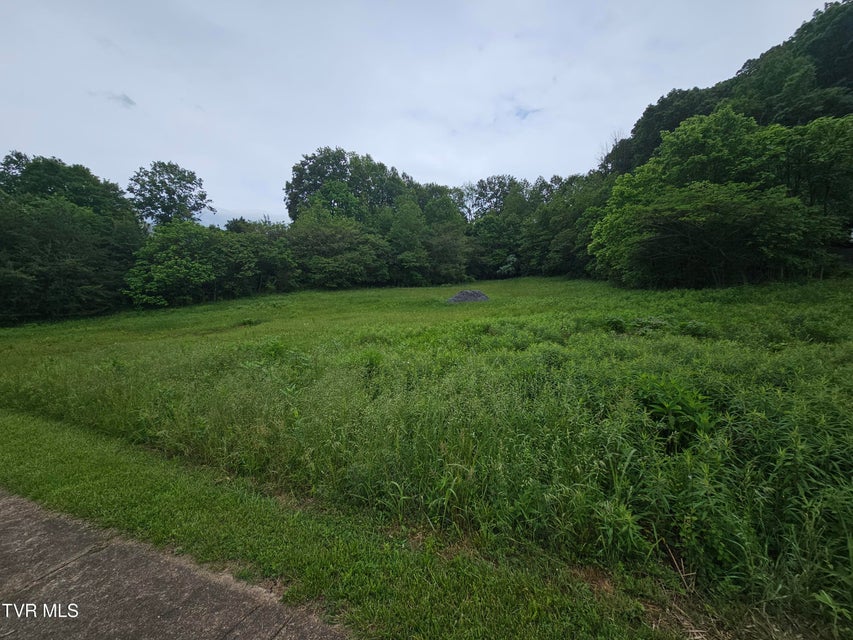 Photo #4: 1800 Lynn Garden Drive