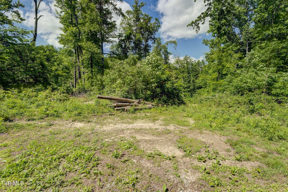 Photo #12: 950 Caney Creek Lane