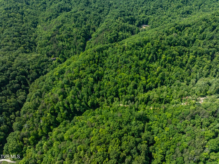 Photo #18: 950 Caney Creek Lane