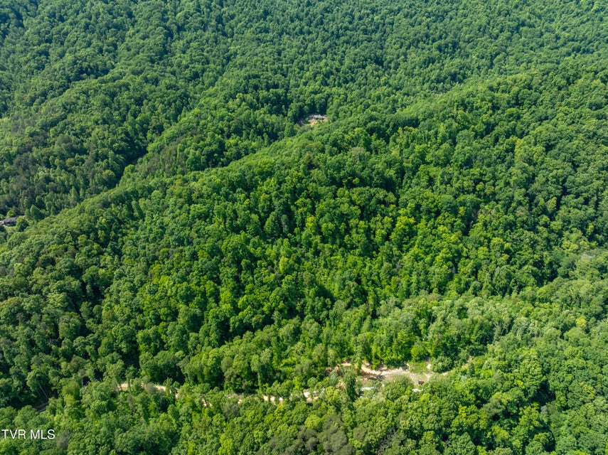 Photo #19: 950 Caney Creek Lane