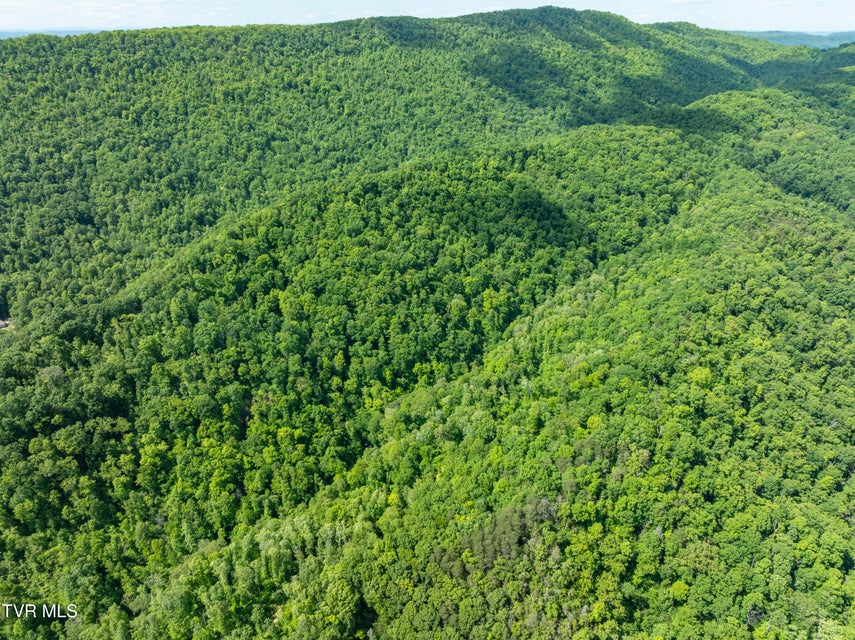 Photo #20: 950 Caney Creek Lane