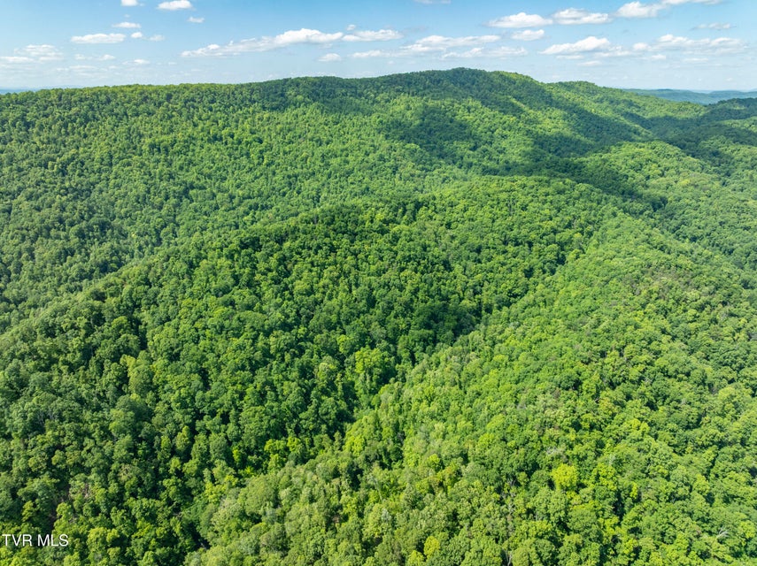 Photo #21: 950 Caney Creek Lane