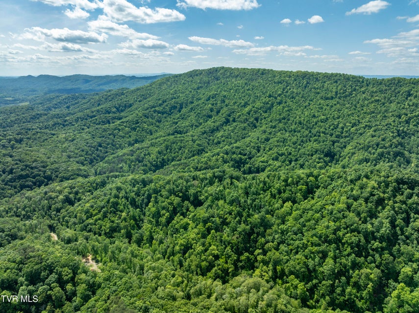 Photo #22: 950 Caney Creek Lane