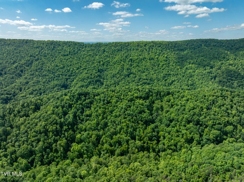 Photo #23: 950 Caney Creek Lane