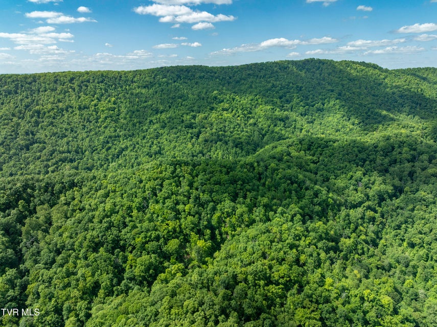 Photo #24: 950 Caney Creek Lane