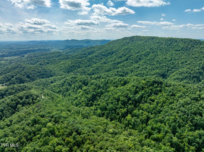 Photo #25: 950 Caney Creek Lane