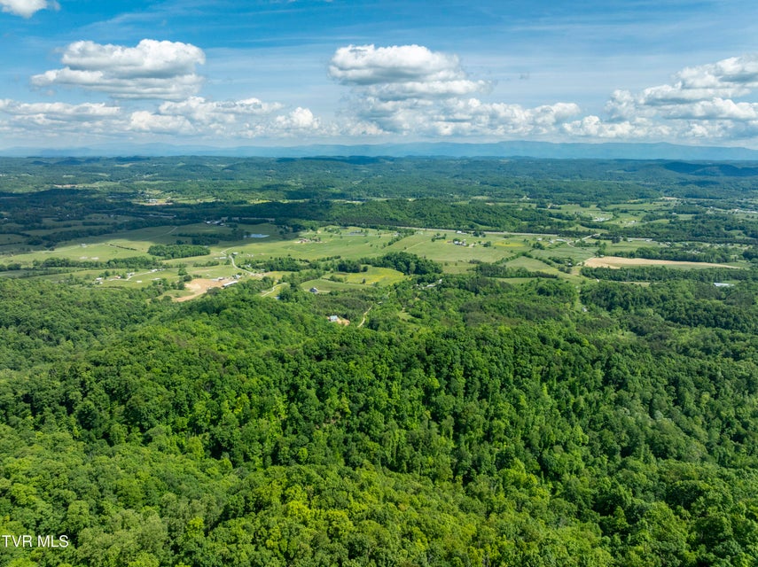 Photo #28: 950 Caney Creek Lane