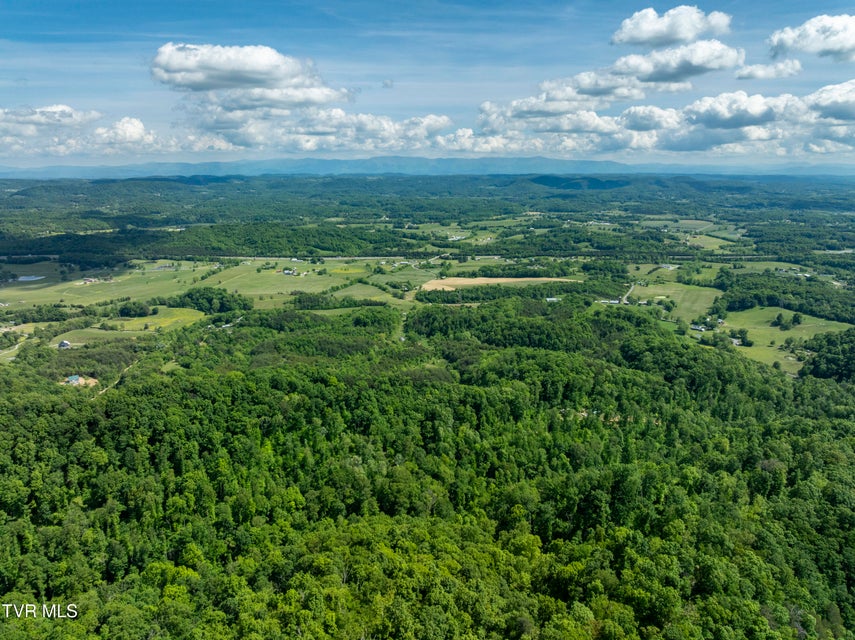 Photo #29: 950 Caney Creek Lane