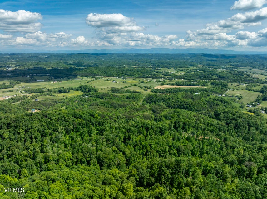 Photo #30: 950 Caney Creek Lane