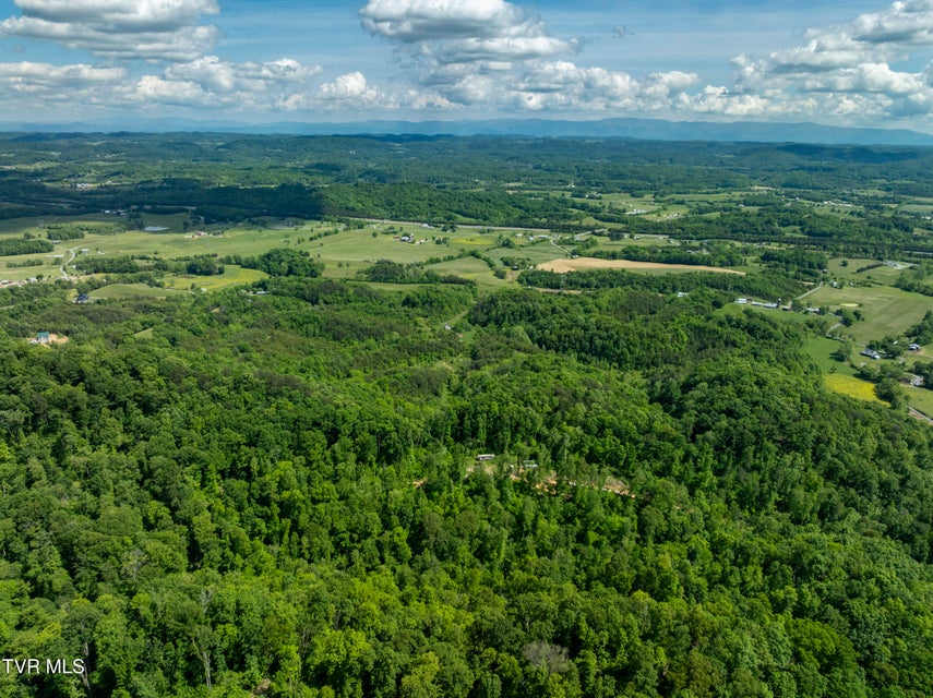 Photo #31: 950 Caney Creek Lane