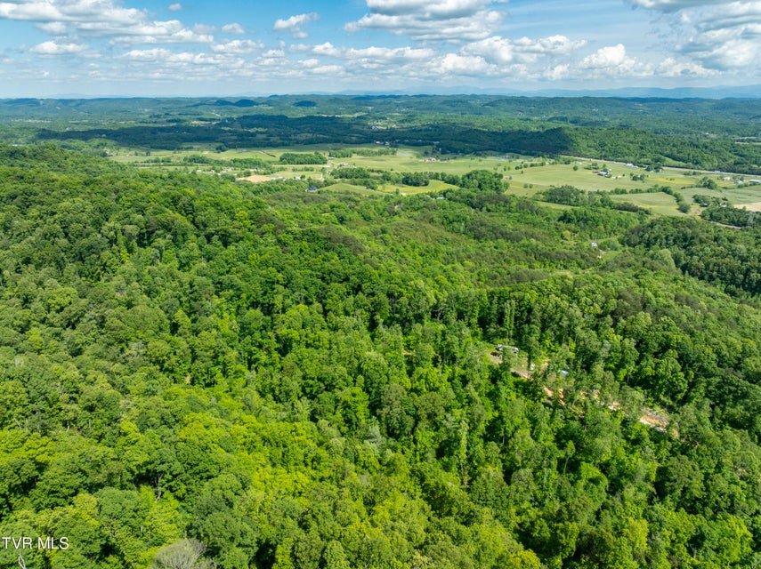 Photo #32: 950 Caney Creek Lane