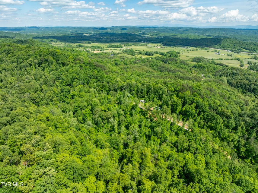 Photo #33: 950 Caney Creek Lane