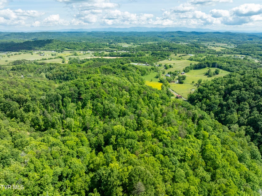 Photo #34: 950 Caney Creek Lane