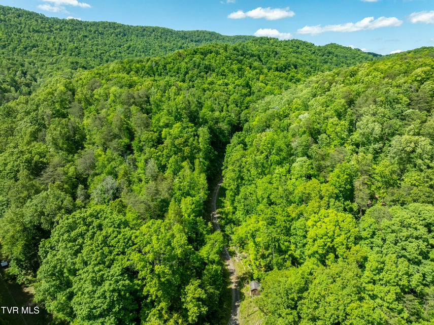 Photo #37: 950 Caney Creek Lane