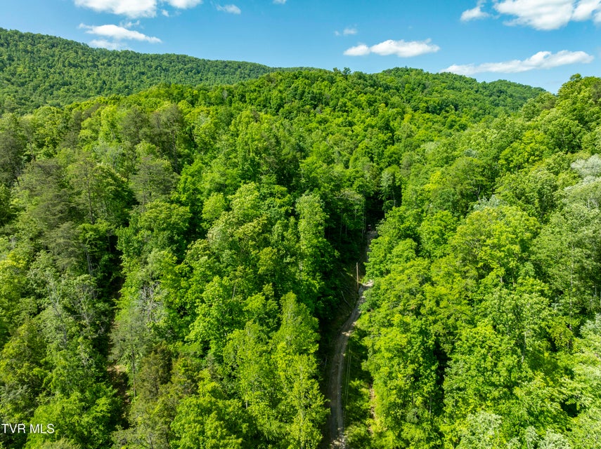 Photo #38: 950 Caney Creek Lane