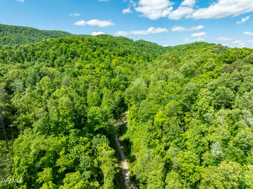 Photo #39: 950 Caney Creek Lane