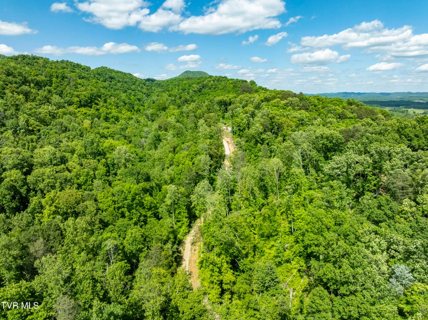 Photo #40: 950 Caney Creek Lane