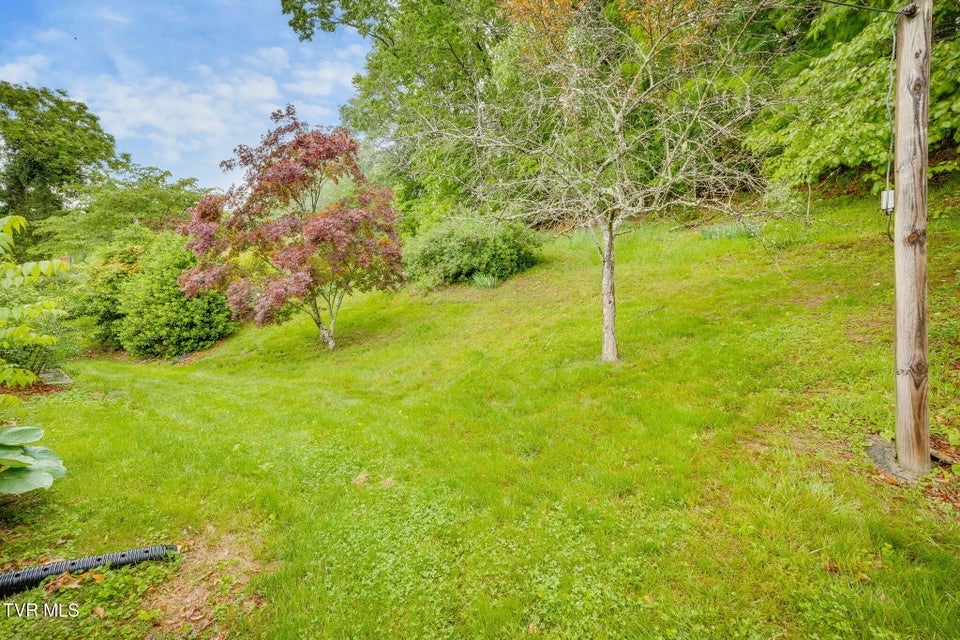 Photo #49: 1216 Skelton Bluff Road