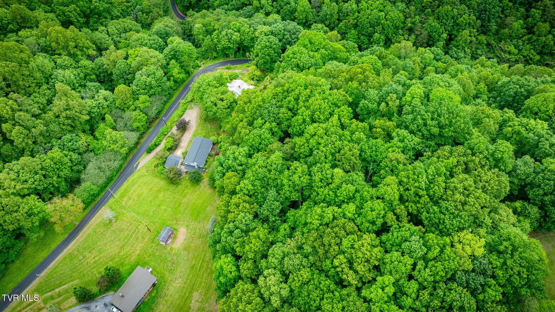 Photo #60: 1216 Skelton Bluff Road