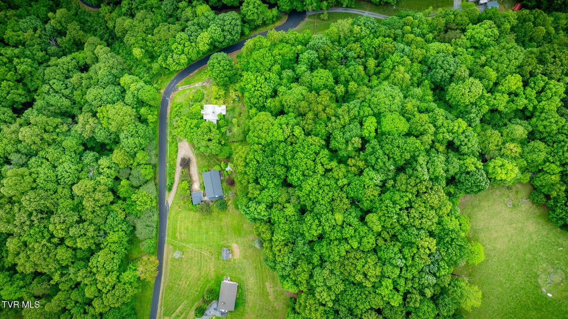 Photo #66: 1216 Skelton Bluff Road