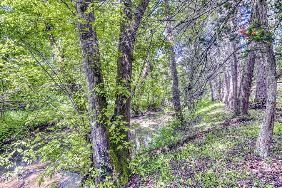 Photo #29: 23476 Golden View Drive