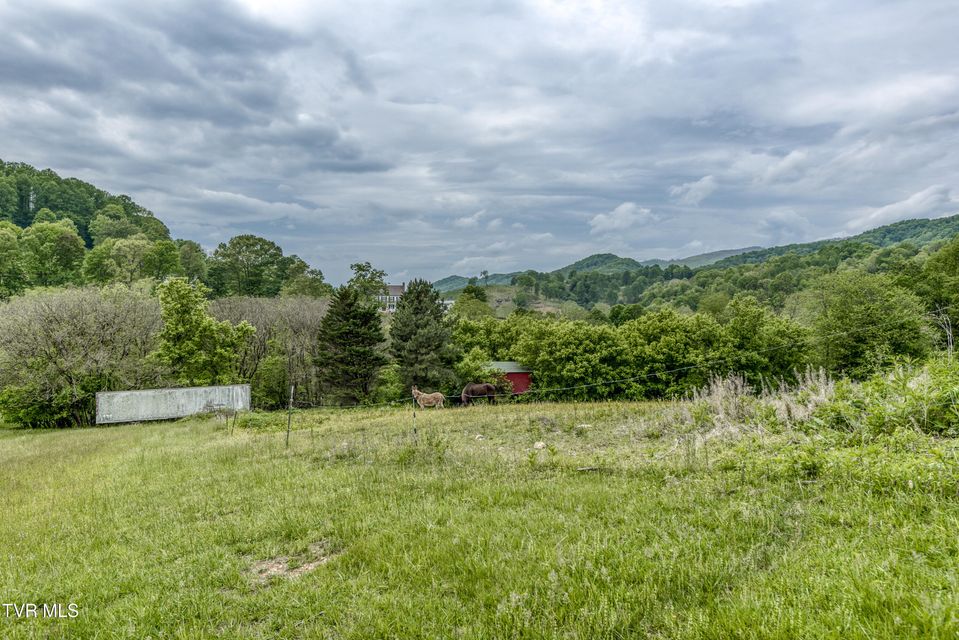 Photo #29: 1659 Lungsford Mill Rd Road
