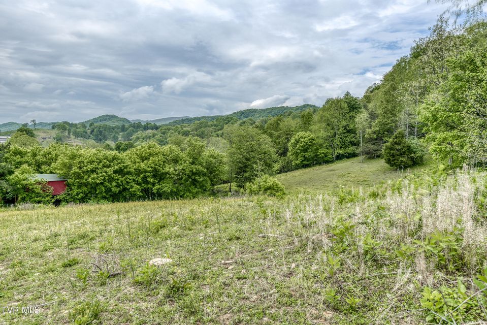 Photo #31: 1659 Lungsford Mill Rd Road