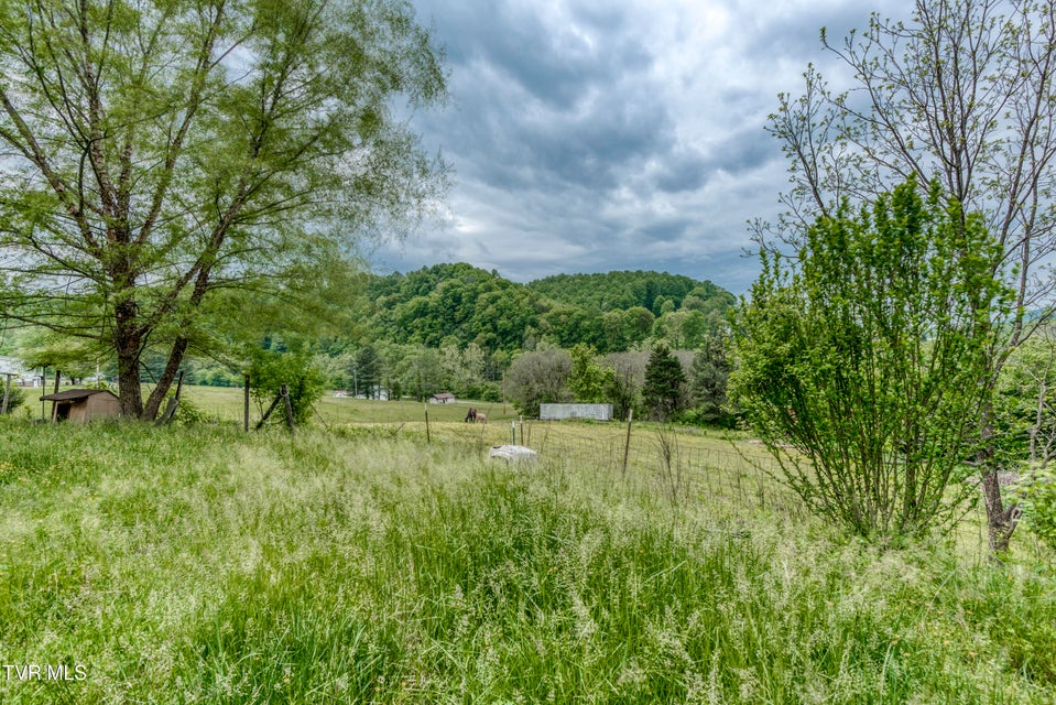 Photo #32: 1659 Lungsford Mill Rd Road