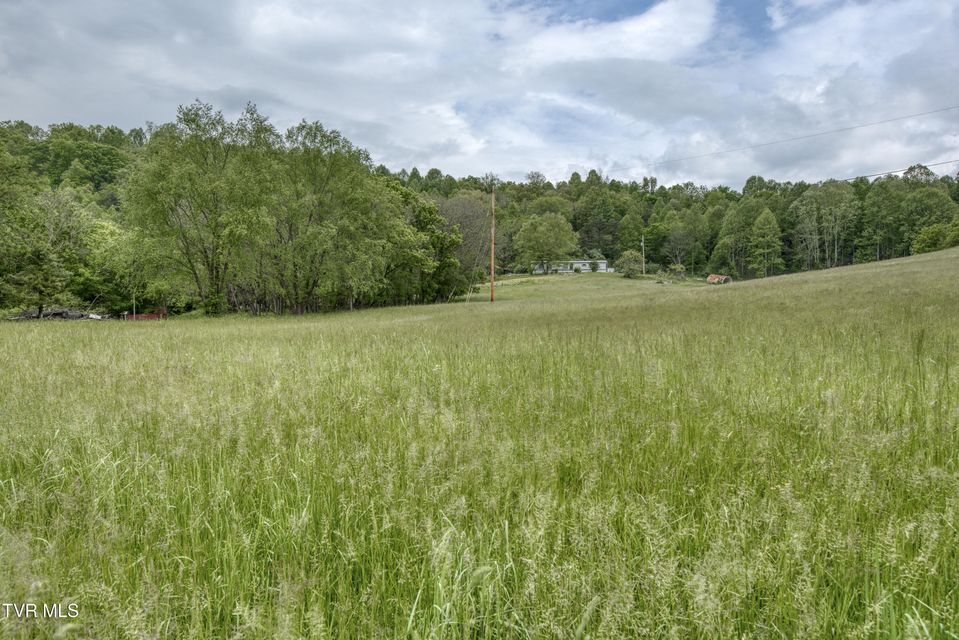 Photo #39: 1659 Lungsford Mill Rd Road