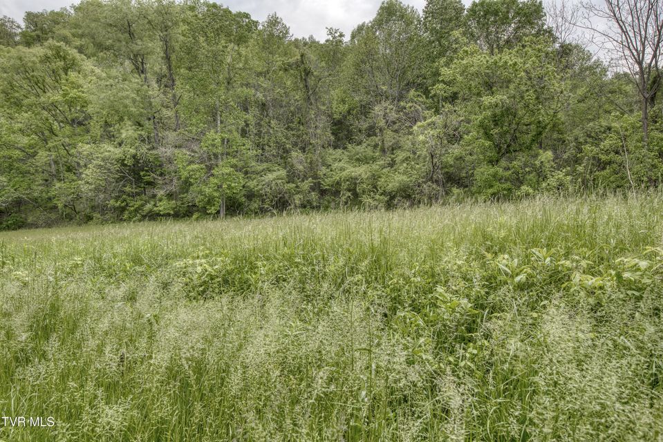 Photo #37: 1659 Lungsford Mill Rd Road