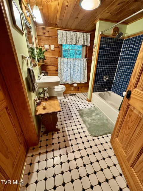 Photo #11: 219 Log Cabin Lane