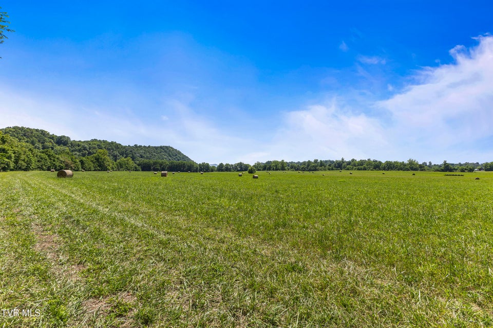 Photo #11: 501 Williams Road