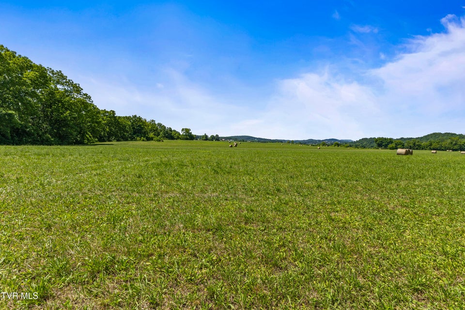 Photo #21: 501 Williams Road