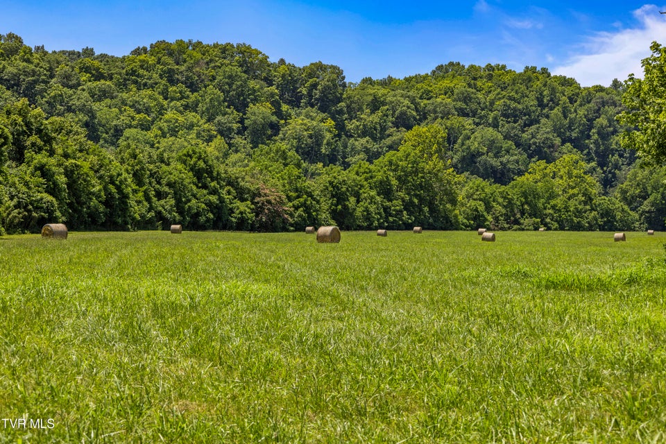 Photo #6: 501 Williams Road