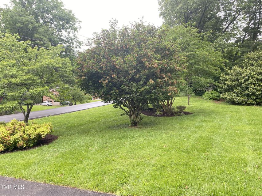 Photo #27: 203 Oak Lane