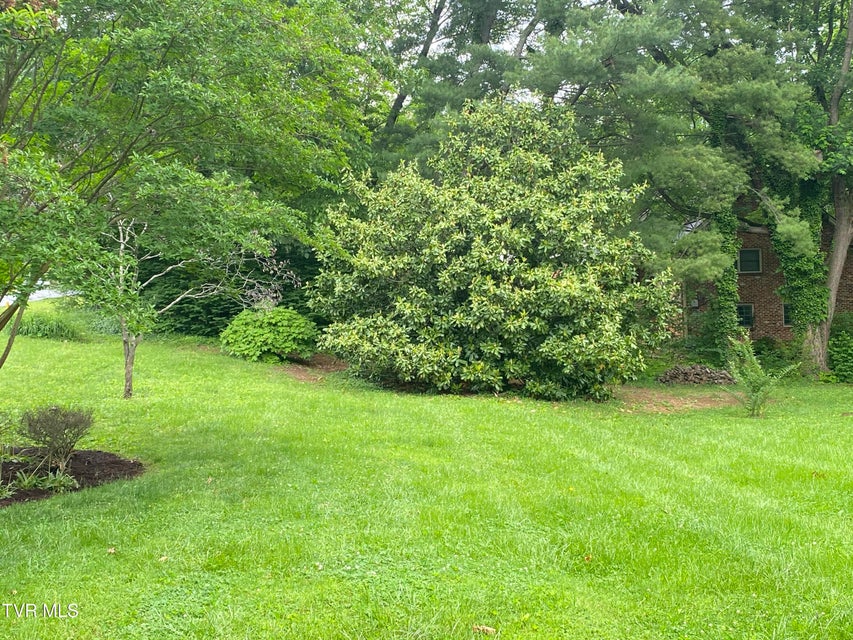 Photo #31: 203 Oak Lane