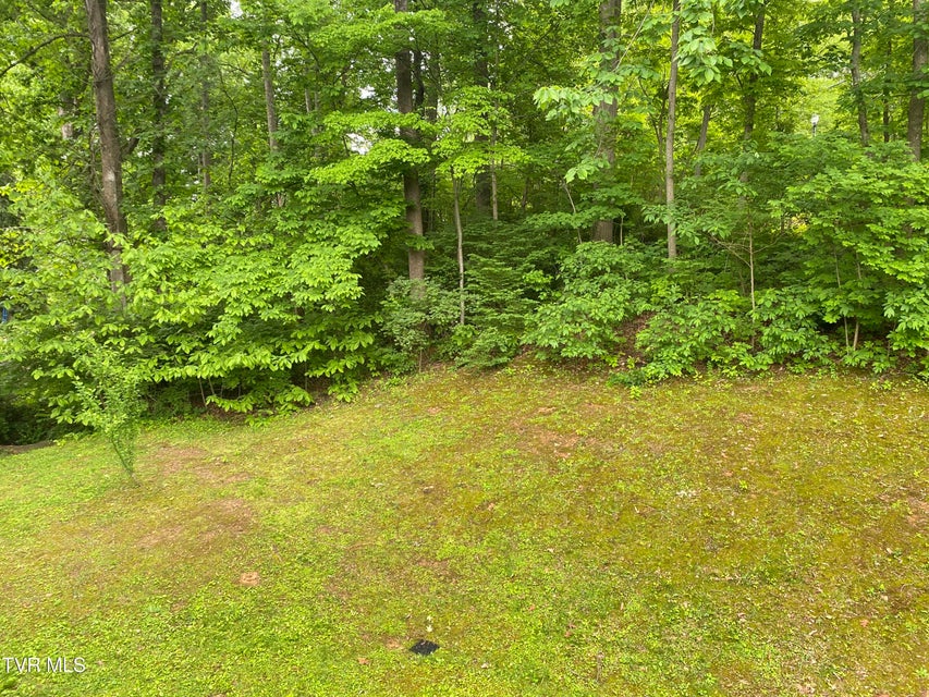Photo #36: 203 Oak Lane