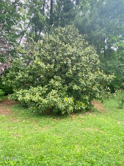 Photo #28: 203 Oak Lane