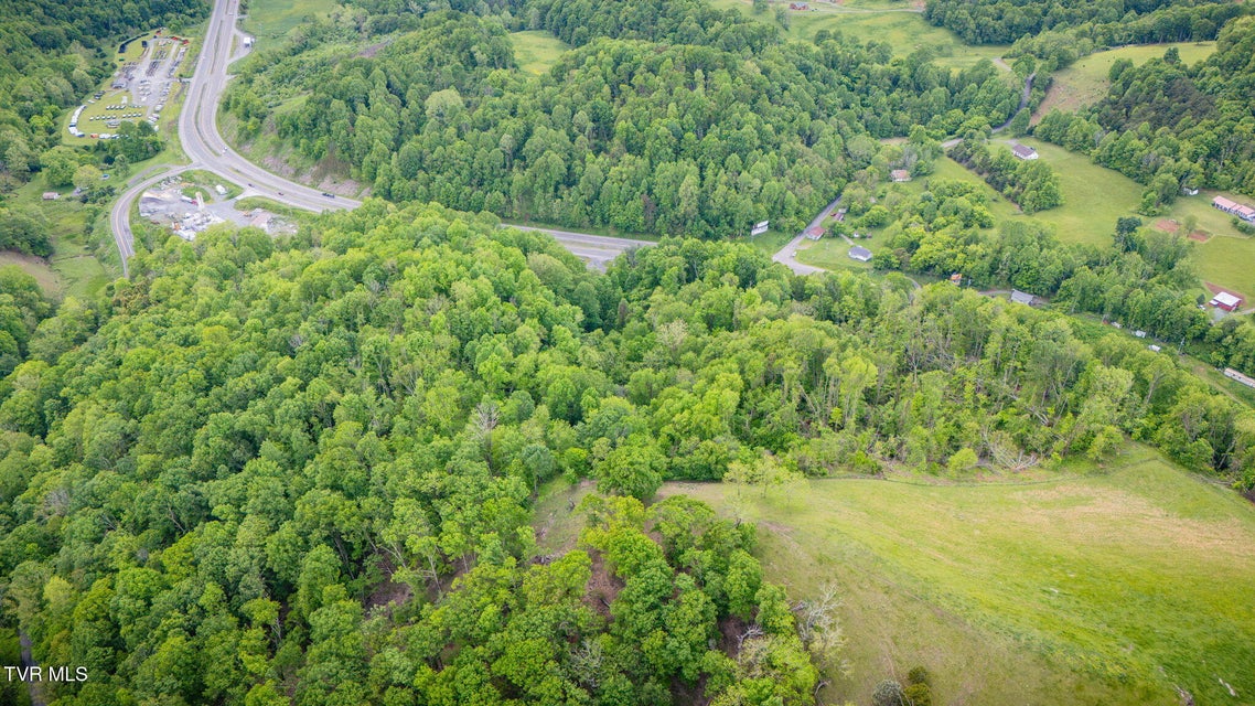 Photo #4: Tbd Us Highway 19