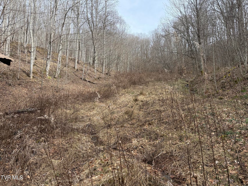 Photo #2: 1108 Hwy 67 N