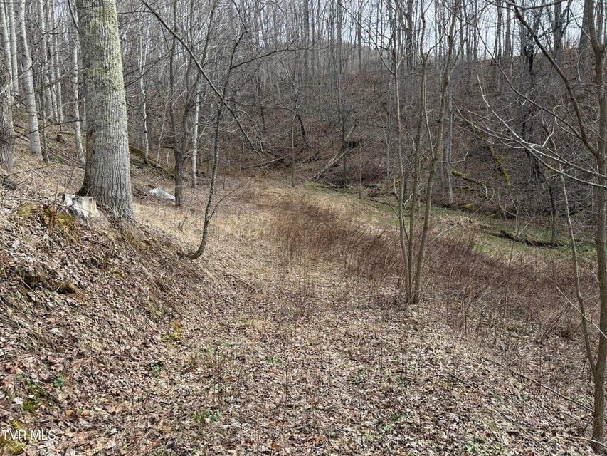 Photo #3: 1108 Hwy 67 N