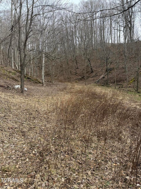 Photo #6: 1108 Hwy 67 N