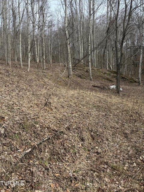 Photo #7: 1108 Hwy 67 N