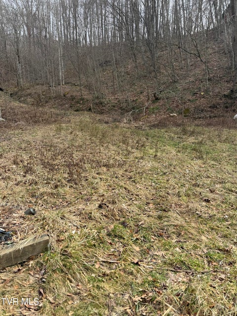 Photo #10: 1108 Hwy 67 N