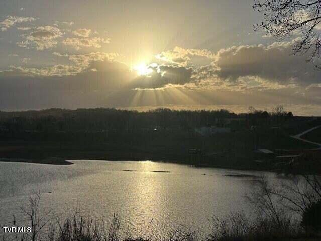 Photo #17: Tbd Austin Springs Road