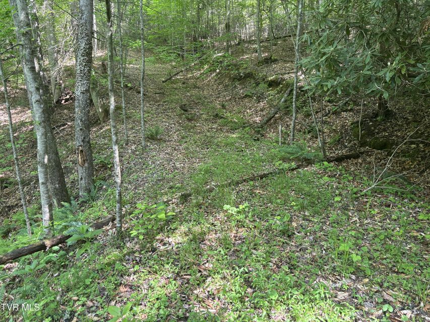 Photo #2: Lot 6b Of Roan Creek Road