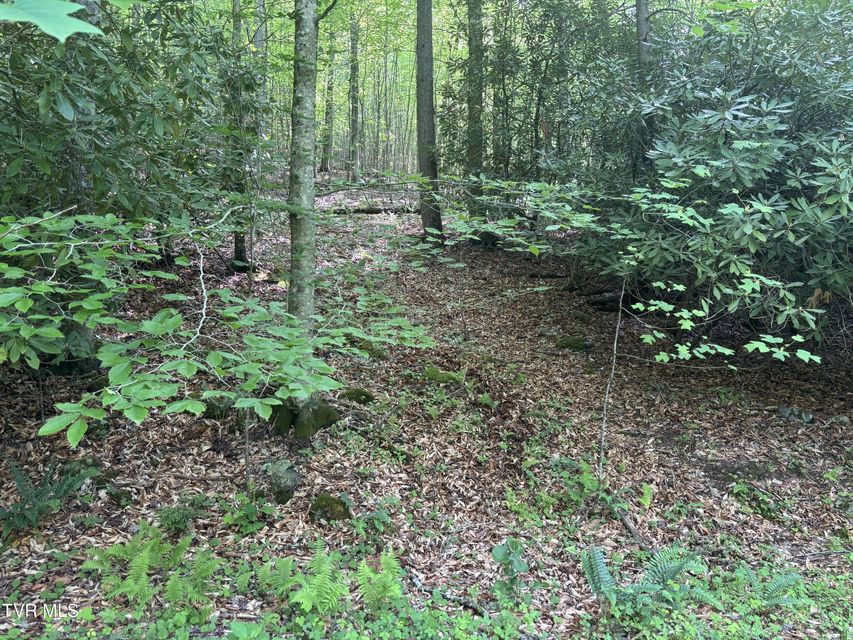 Photo #3: Lot 6b Of Roan Creek Road