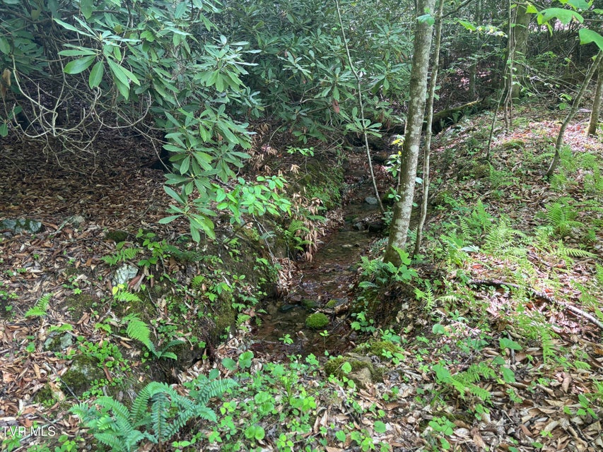 Photo #4: Lot 6b Of Roan Creek Road